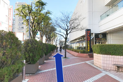 東急スクエア横の街路樹を進みます